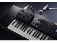 <b>Roland VT-4 VOICE TRANSFORMER PROCESSADOR DE VOZ</b> <b>Roland VT-4 VOICE TRANSFORMER PROCESSADOR DE VOZ</b>